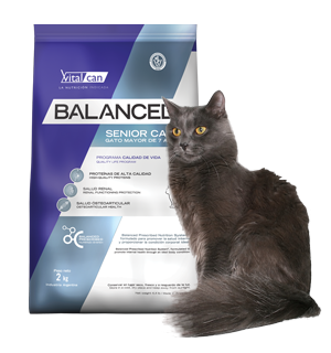 BALANCED