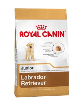 LABRADOR