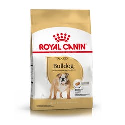 BULLDOG