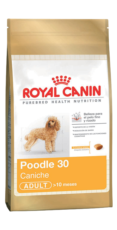 CANICHE/POODLE