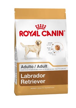 LABRADOR