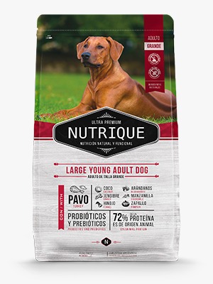 Nutrique Large Young Adult Dog
