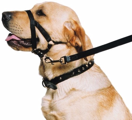 [COG-MIG13-709] BOZAL HALTI DE ENTRENAMIENTO GRANDE - FAMILY PETS