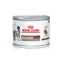Royal Canin Recovery Lata