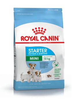 Royal Canin Starter Mini