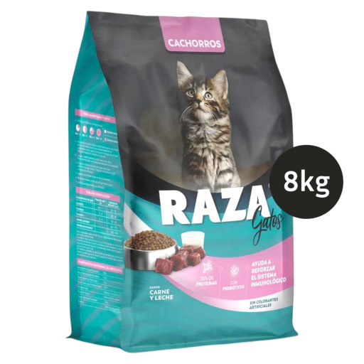 Raza Gatos Cachorros Carne y Leche