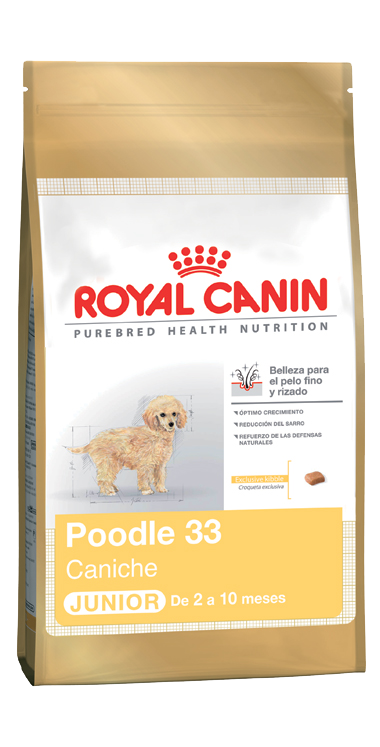 Royal Canin Caniche Puppy