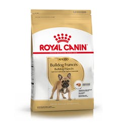 [3846030] Royal Canin Bulldog Francés Adulto (3 kg)
