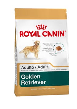 Royal Canin Golden Retriever Adulto