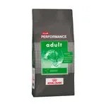 Royal Canin Club Performance Dog Adulto