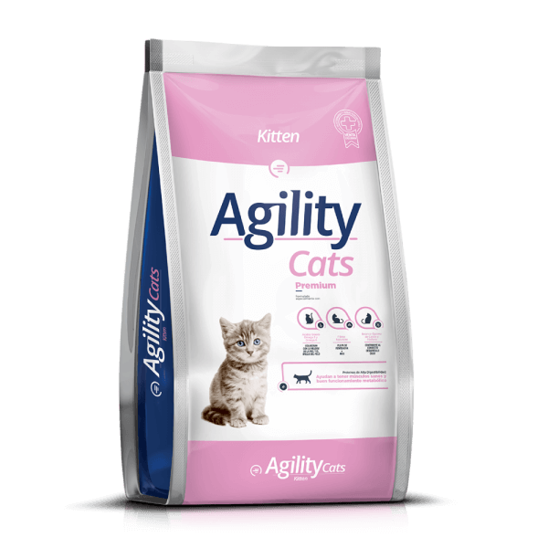 Agility CATS KITTEN