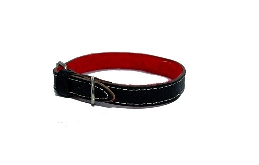 Collar de Cuero con Felpa
