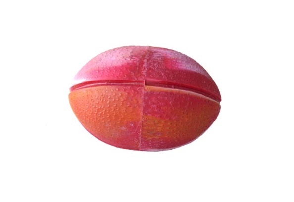 Pelota Mascota Rugby Chica 1008