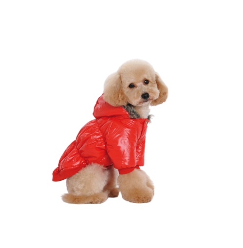 Campera Inflable con Piel