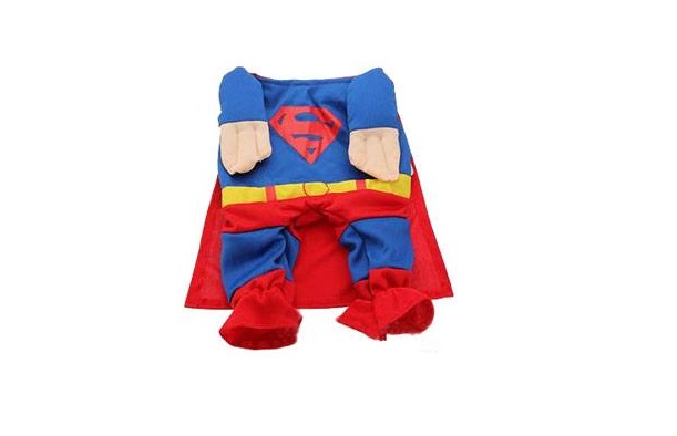 Disfraz Superman