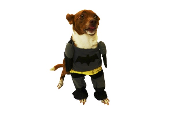 Disfraz Batman