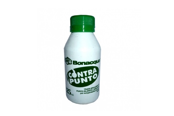 [560036] Contrapunto Bonacqua 125 cm3