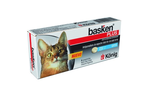 Basken Plus Gatos