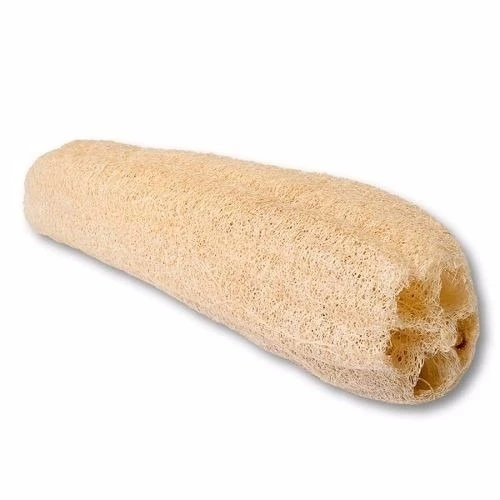 ESPONJA VEGETAL 22CM