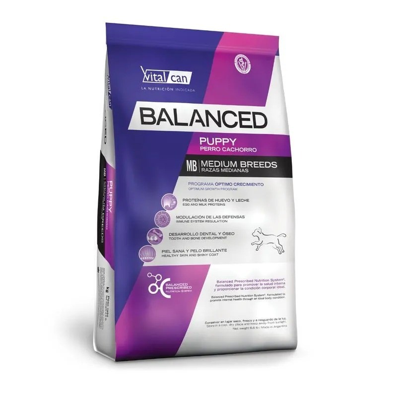 Balanced Perro Cachorro Raza Mediana