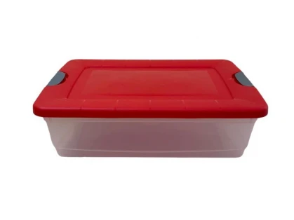 CAJA ORGANIZADORA 42LTS COLORES