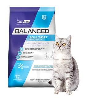 [21704] Balanced Gato Adulto (2 kg)