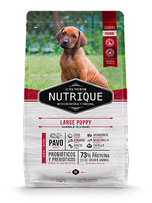[70008] Nutrique Large Puppy (1 kg)