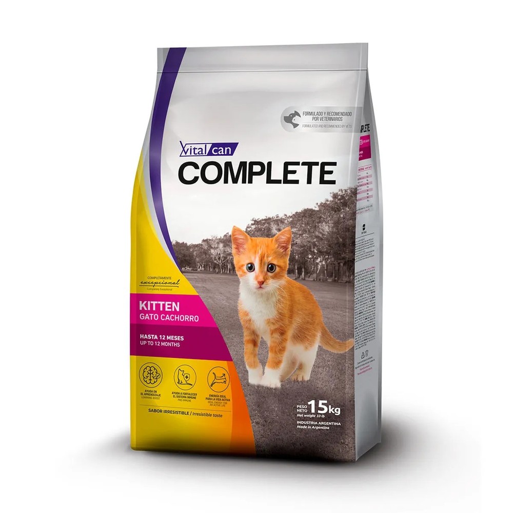 Complete Gato Kitten