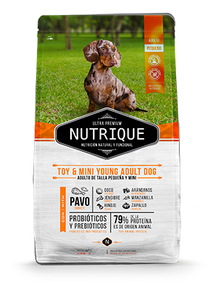 [70013] Nutrique Toy & Mini Young Adult Dog (3 kg)