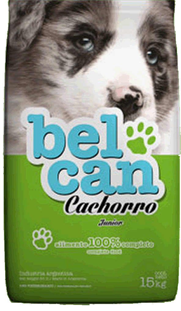 [32501] Belcan Junior