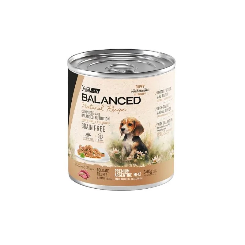 Natural Recipe Filetes Carne Perro Cachorro