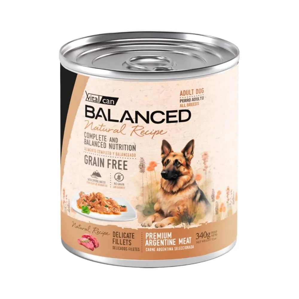 [132134] Natural Recipe Filetes Carne Perro Adulto (340 g x 12 u)