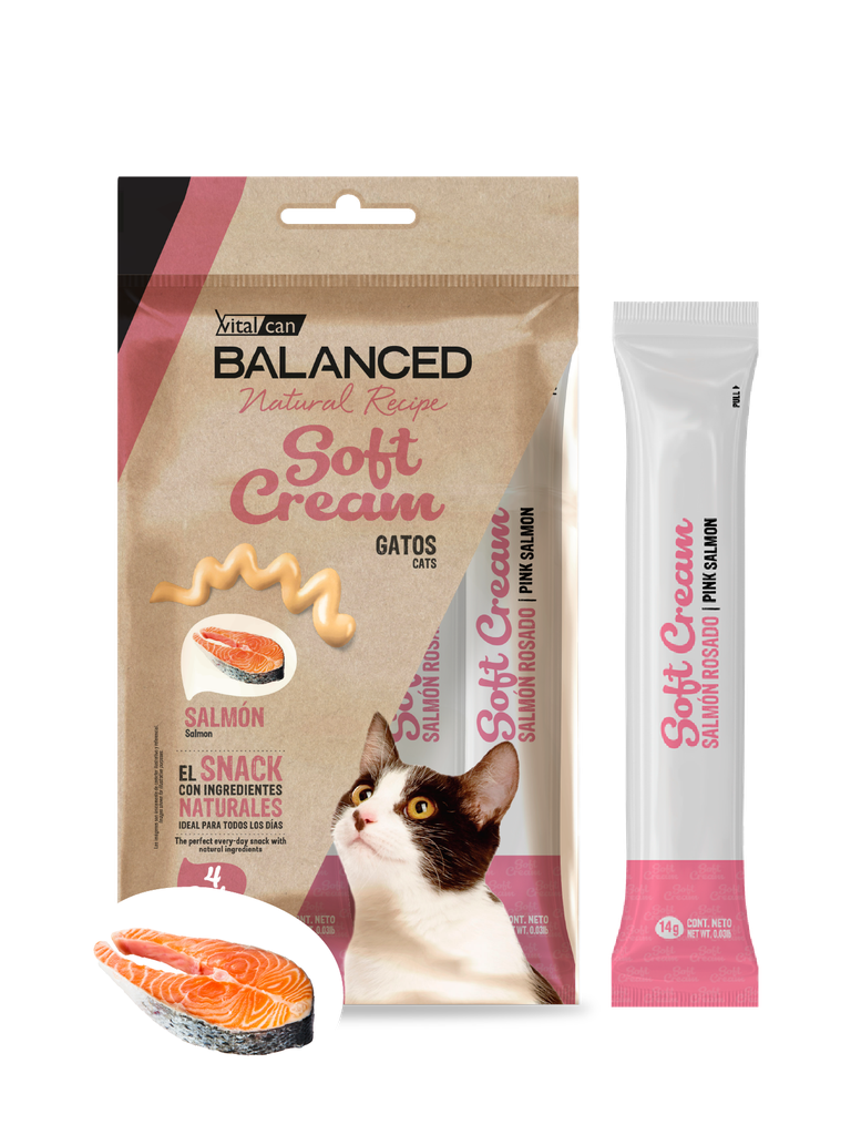 [131739] Natural Recipe Soft Cream Gato Salmón