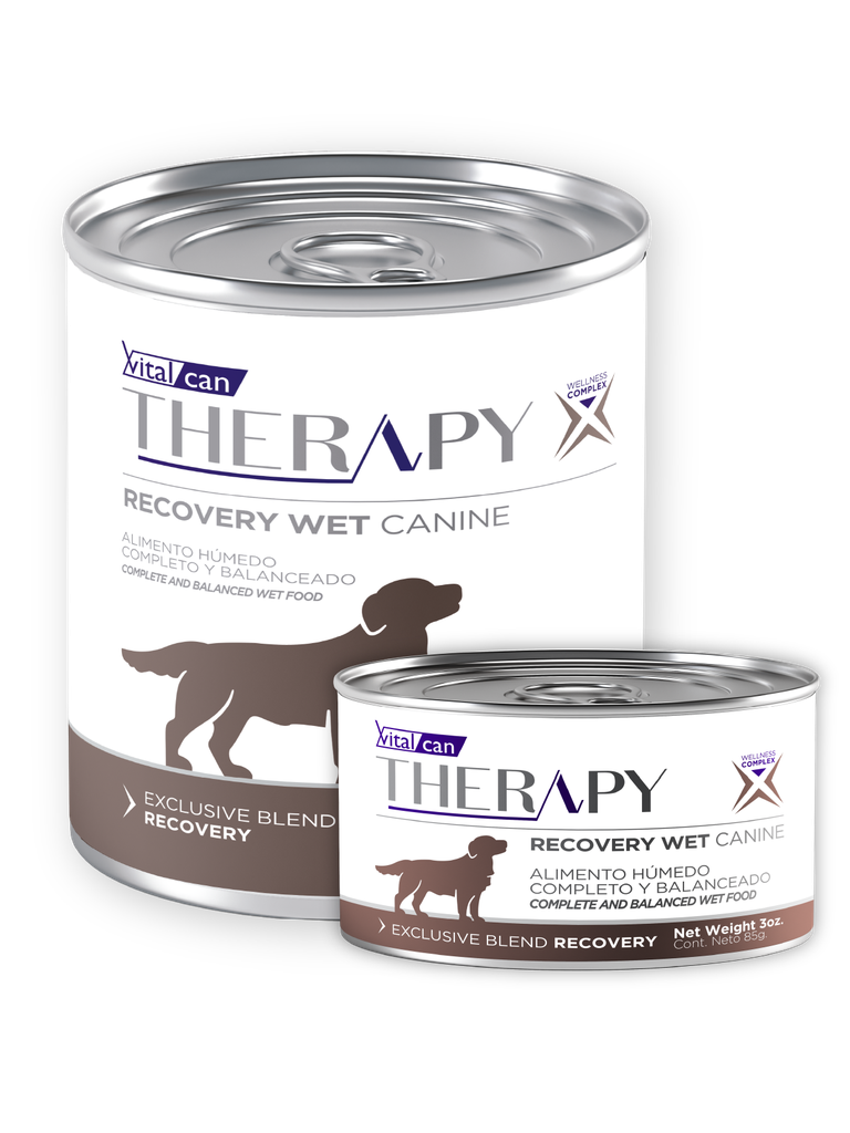 Therapy Recovery Wet Canine