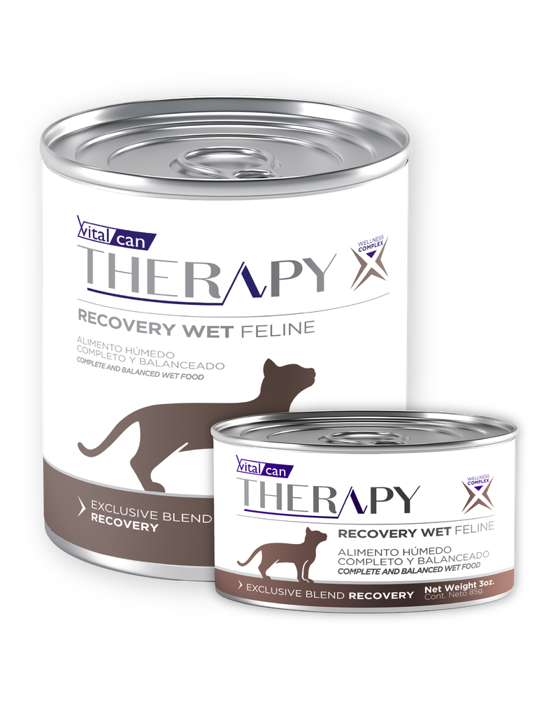 Therapy Recovery Wet Feline