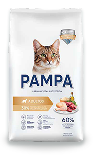PAMPA